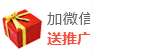 加微信·送網站